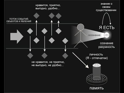 Видео: отрывок из разговора с участником группы из телеграм