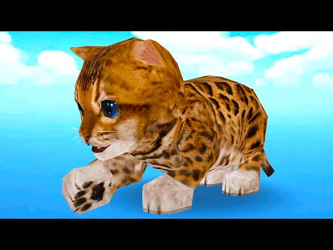 Видео: Симулятор Маленькой Кошки #1 Серый и Рыжий котик в Школе Cat Simulator на Пурумчата
