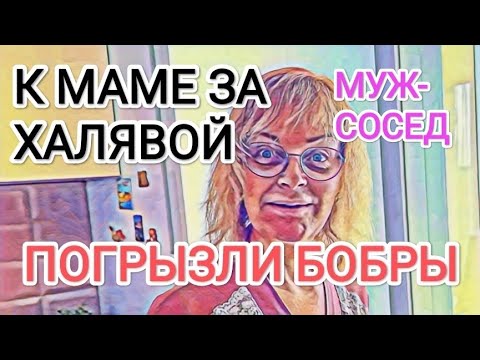 Видео: Мисс Vong ПOГPЫЗЛИ БОБРЫ / К МАМЕ ЗА XAЛЯBOЙ / СОСЕДСТВО С МУЖЕМ