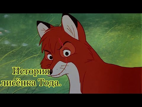 Видео: История лисёнка Тода. Моя версия .