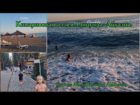 Видео: Кипарисовая аллея. Пицунда. Абхазия.Cypress Alley. Pitsunda. Abkhazia.