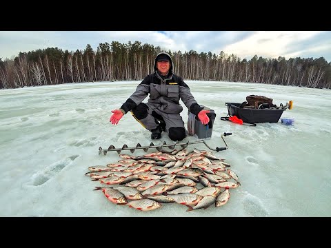 Видео: МОРСКАЯ СОРОГА НА БЕЗМОТЫЛКИ ЗУЕВА