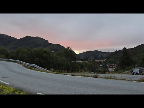 Видео: ПОЧЕМУ МЫ ПРИНЯЛИ ТАКОЕ РЕШЕНИЕ... ТРЕПАТЕЛЬ НУЖЕН НА РАБОТЕ ... 