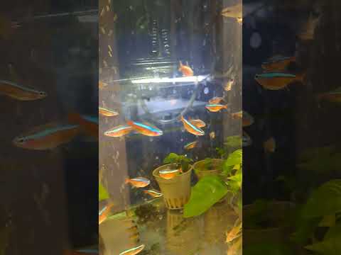 Видео: Преди летните почивки