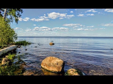 Видео: Рыбалка - нахлыст и снова Онего.