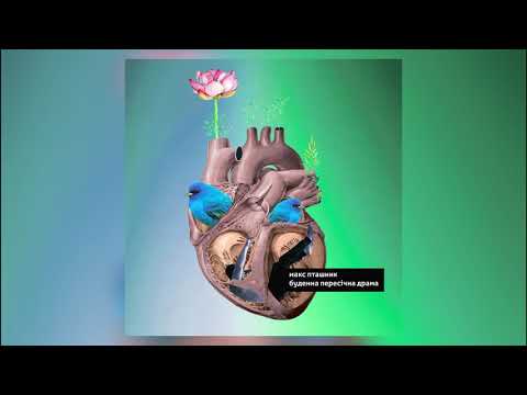 Видео: макс пташник - Буденна пересічна драма (2018)