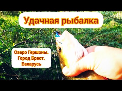 Видео: Рыбалка на озере Гершоны г. Брест. Беларусь.