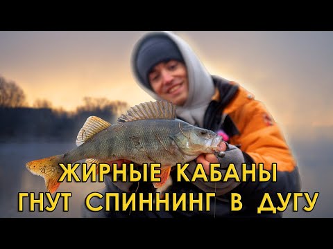 Видео: Где ловить зимой на спиннинг?! Оснастка и проводка на толстого окуня.
