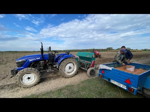 Видео: Сіємо пшеницю 2 китайцями, Дмтз 504 та Сінтай 244🌾👍