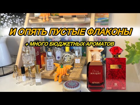 Видео: 🍒 13 ПУСТЫХ ФЛАКОНОВ - МНОГО или МАЛО? Бюджетная и восточная парфюмерия, ЛЮКС, ENFES, Brocard 🔥