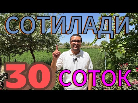 Видео: АРЗОН 30-СОТИКЛИ ХОВЛИ УЙ-ЖОЙ СИЗ КУТГАН НАРХЛАРДА СОТИЛАДИ.