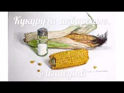 Видео: Как нарисовать кукурузу акварелью
