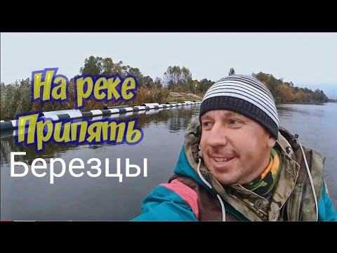 Видео: Рыбалка на реке Припять. Березцы. 