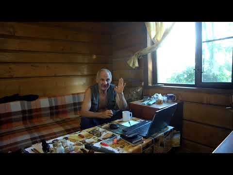 Видео: О собачках. Рассуждалки ч 2