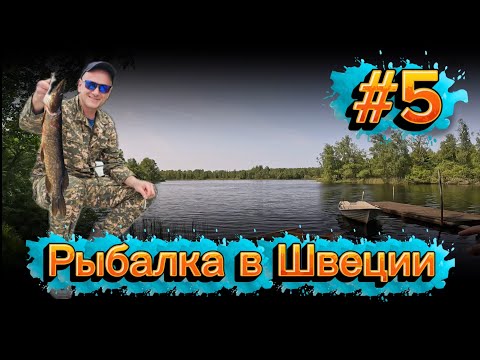 Видео: #5 “Рыбалка в Швеции 🎣 Июнь 2025 | Щука и невероятная природа Скандинавии”