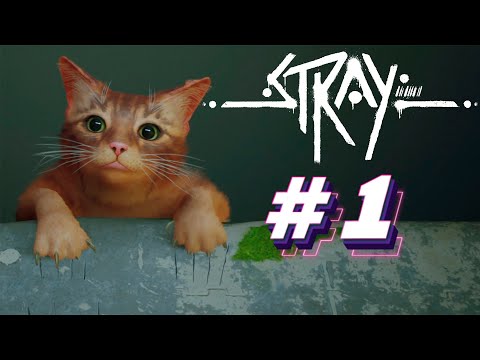 Видео: Прохождение Stray #1 - МЁРТВЫЙ ГОРОД
