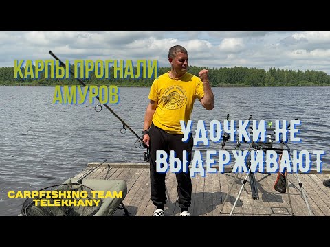 Видео: УДОЧКИ НЕ ВЫДЕРЖИВАЮТ! КАРПФИШИНГ В БЕЛАРУСИ