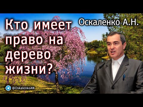 Видео: Оскаленко А.Н. Кто имеет право на дерево жизни?