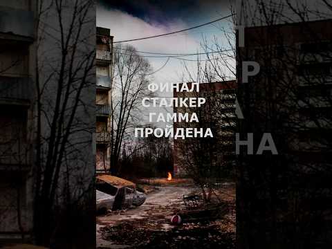 Видео: Прохождение гаммы официально завершено #stalker @gamma #anomaly