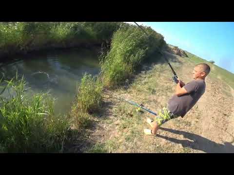 Видео: Не повторяйте мою ошибку! Рыбалка на поплавок осенью! 
