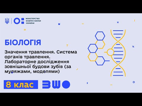 Видео: 8 клас. Біологія. Значення травлення. Система органів травлення. Лаб. дослід. зовн. будови зубів