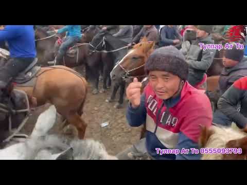 Видео: 2-Болум Оморали аажы, Чон атасына аш, жана небере той.🇰🇬🔥 Ноокен  Момбеков а/о