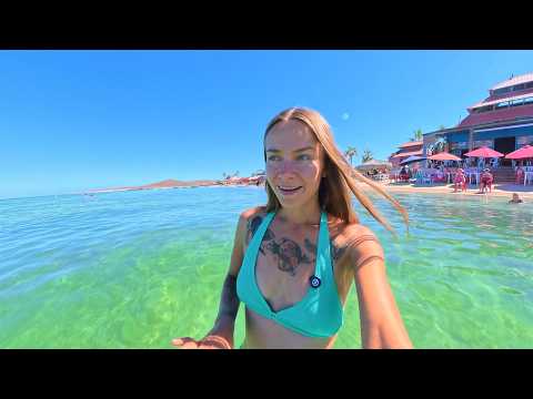 Видео: Уплыла из США почти бесплатно 🚢💨