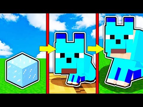 Видео: КАК МЕНЯЛСЯ ЛЕДЯНОЙ СОБАКА МОБ И ЕГО ЖИЗНЕННЫЙ ЦИКЛ В МАЙНКРАФТ ! ЭВОЛЮЦИЯ ТРОЛЛИНГ MINECRAFT