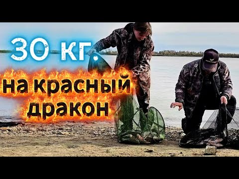 Видео: ЗАБРАСЫВАЕМ И КЛЮЕТ! СЕКРЕТ В ПРИКОРМКЕ. ДАЖЕ СЫН СПРАВИЛСЯ.