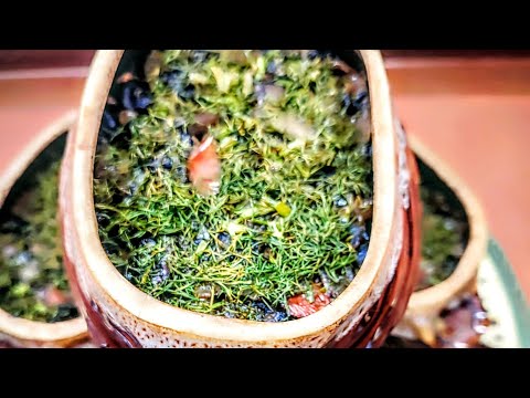 Видео: Каша гречневая, запечённая с грибами ! Полезно и очень вкусно !
