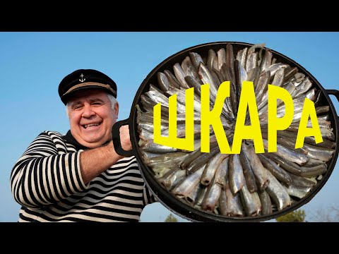 Видео: РЫБНАЯ БУГЛАМА ЧЕРНОМОРСКИХ МОРЯКОВ. ENG SUB