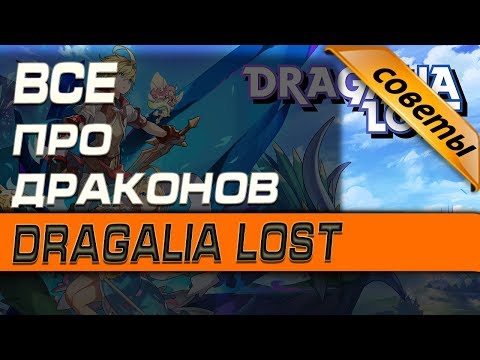 Видео: Dragalia Lost - ВСЕ О ДРАКОНАХ