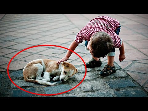 Видео: Этот щенок родился бракованный, и его хотели утопить, но то что он совершил…