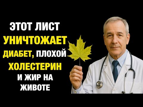 Видео: Чудо-лист, который уничтожает диабет, холестерин и жир на животе!