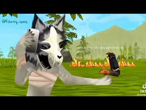 Видео: Tik Tok WildCraft Completion (ТИК ТОК ВИЛД КРАФТ КОМПЛЕТИОР)