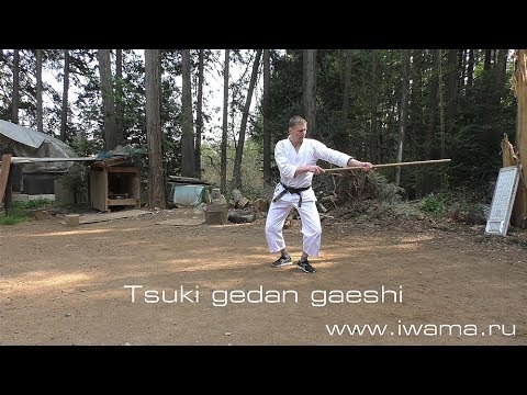Видео: Айкидо Ивама Рю. 20 джо субури. Aikido Iwama Ryu. Iwama after keiko. 20 jo suburi.