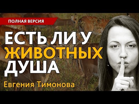Видео: Евгения Тимонова: "Есть ли у животных душа?". Полная версия