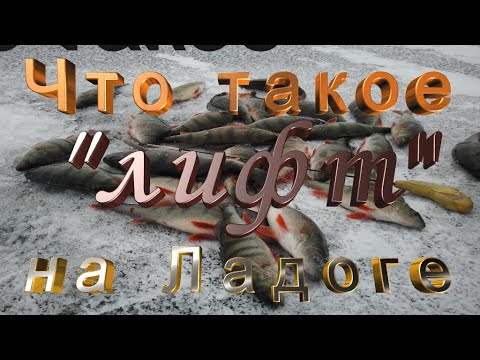 Видео: Зима 2022 23  Безмотылка  Раздача окуня от первого лица