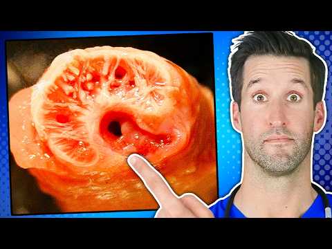 Видео: Почему вам не нужен "большой" пенис...