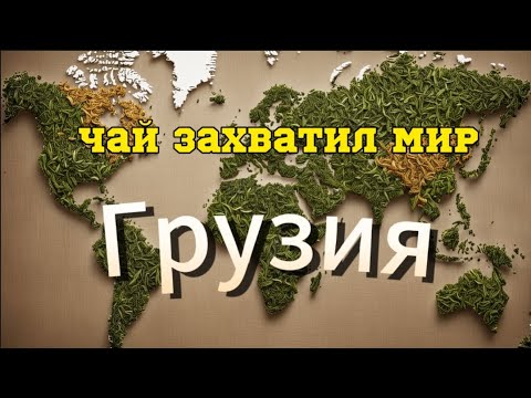 Видео: Чай захватил мир. Грузия