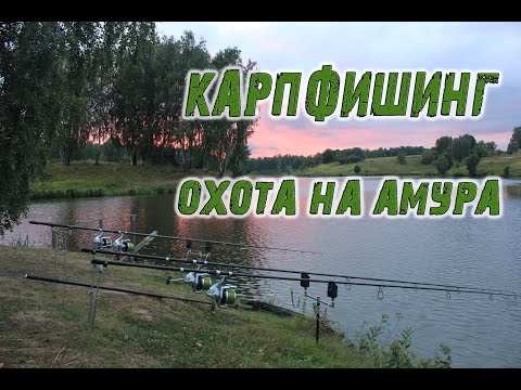 Видео: Карпфишинг. Секреты маркерования и охота на амура!