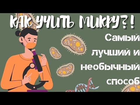 Видео: Микробиология | Как я все выучила к экзамену? | Учеба в меде