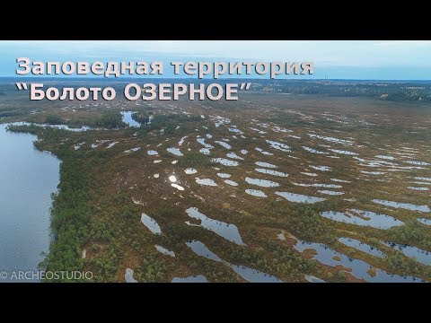 Видео: Поход по заповедной территории "Болото Озерное" (ООПТ Ленинградская область)