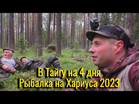 Видео: Поход в Тайгу На 4 Дня. Рыбалка на Хариуса 2023. Добрались до реки, поймали первых хариусов.