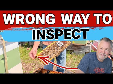 Видео: Инспекция пчеловодства | 5 неправильных способов осмотра улья