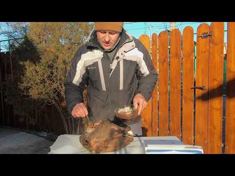 Видео: Блюдо для настоящих гурманов! Баранья голова! готовим аппетитную баранину