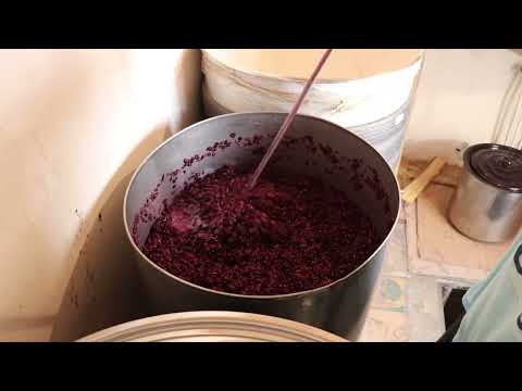 Видео: Мерло - красавчик. Не подвел!!!