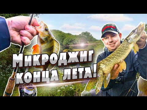 Видео: Щуки на микроджиг! | Рыбалка в последние дни лета | Денис Вихров