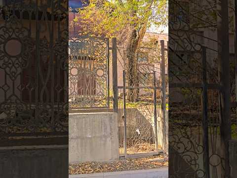 Видео: Новые технологии - необычное здание в Алматы #walkingtour