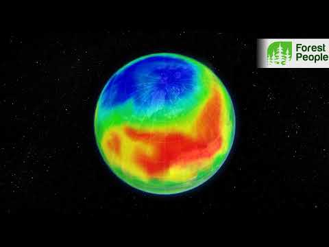 Видео: Загрязнение озонового слоя. Причины, последствия, прогнозы